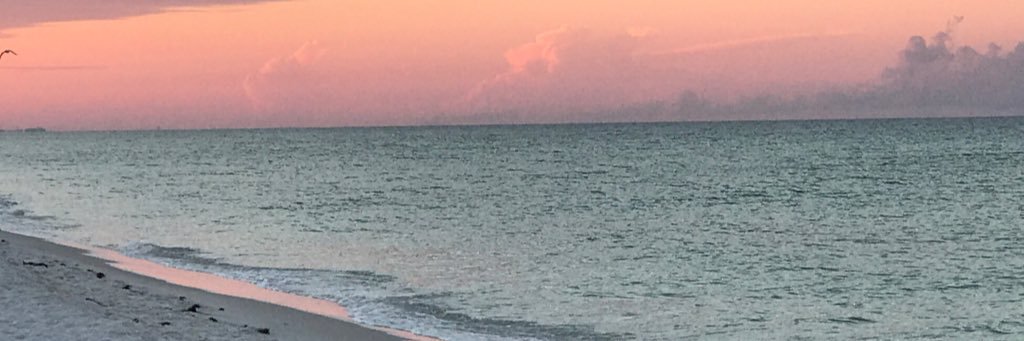 MGarretson11's profile banner image