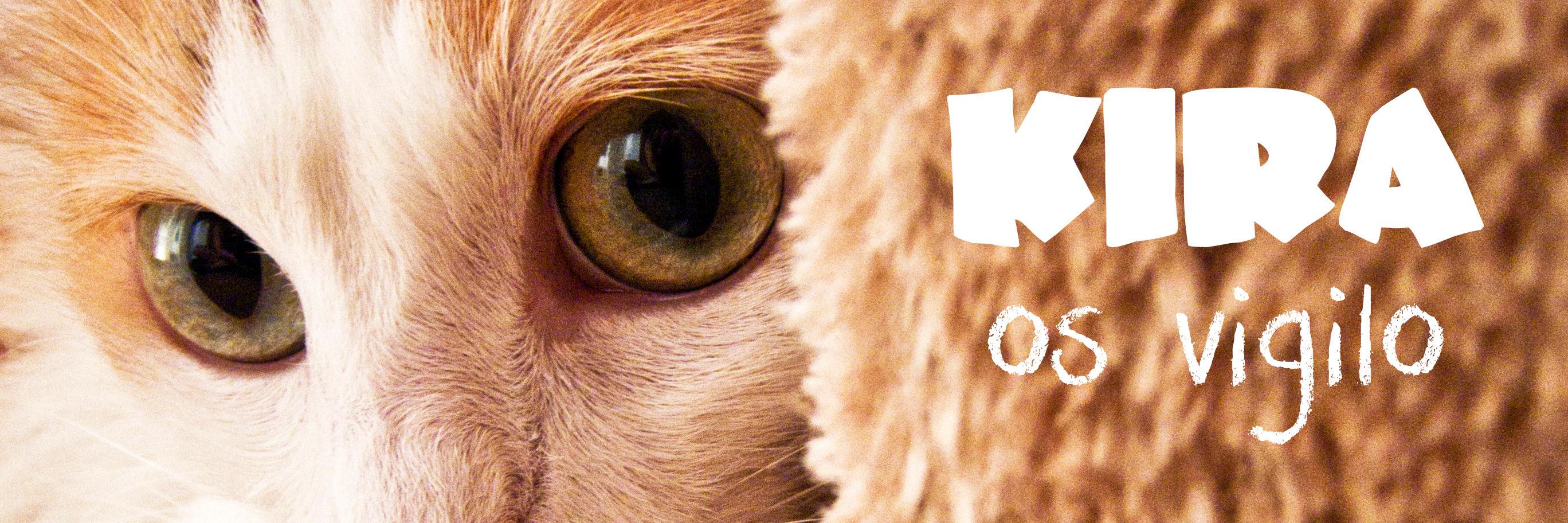 KiraLadyBoss's profile banner image