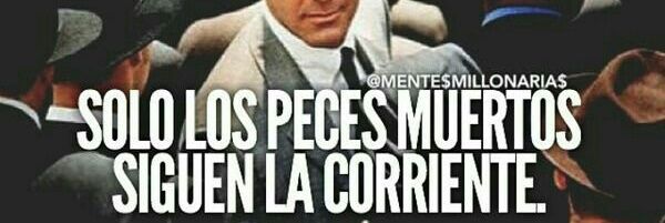 javierfmorales's profile banner image