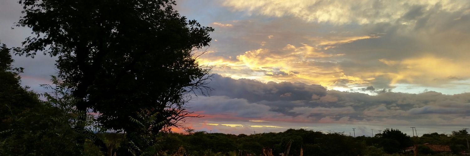 el__master's profile banner image