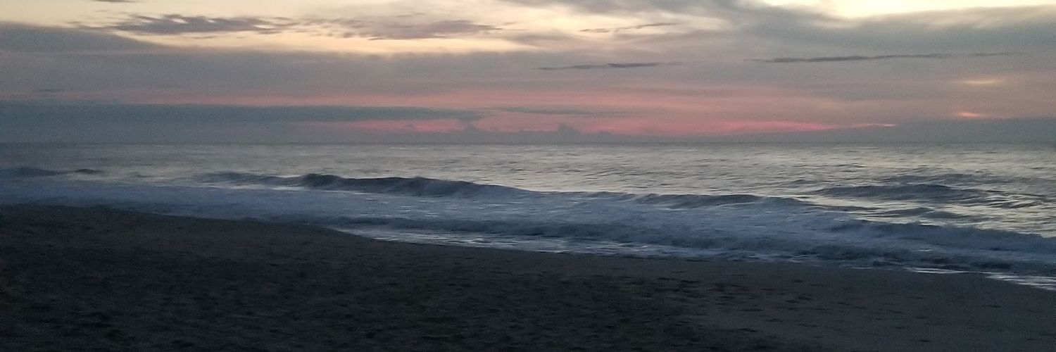 Zimmszoo's profile banner image
