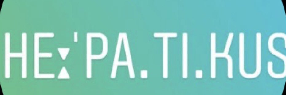 Hepaticusprime's profile banner image