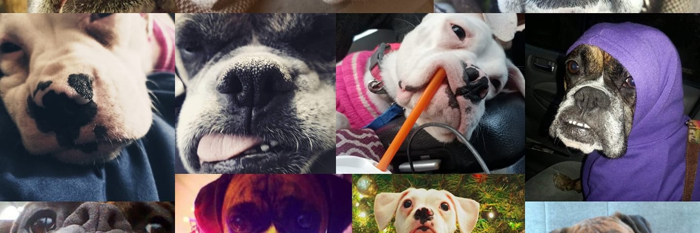 Mrs_Beef's profile banner image