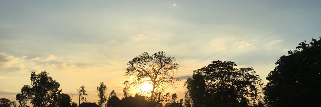 missyoujo's profile banner image