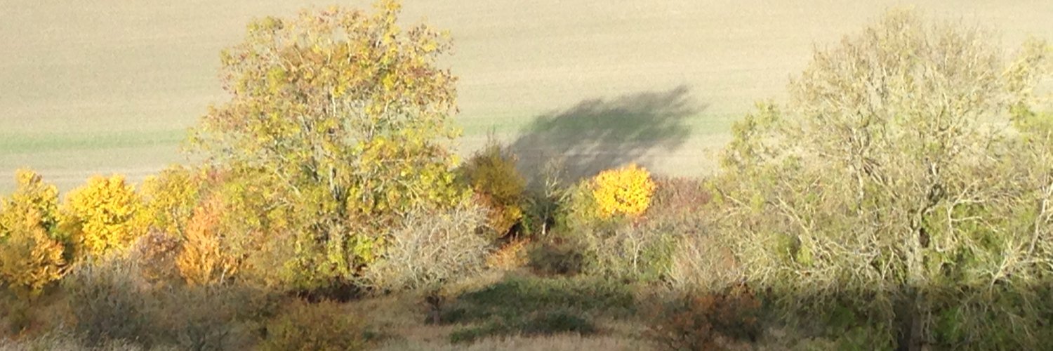 Petra Matthews Crow🌍 banner