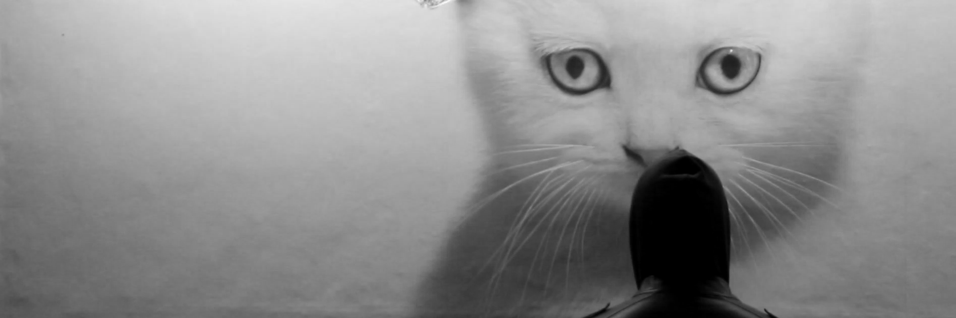 ohnofactory's profile banner image
