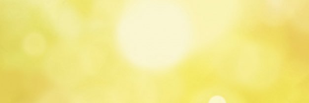 TaraBrekkan's profile banner image