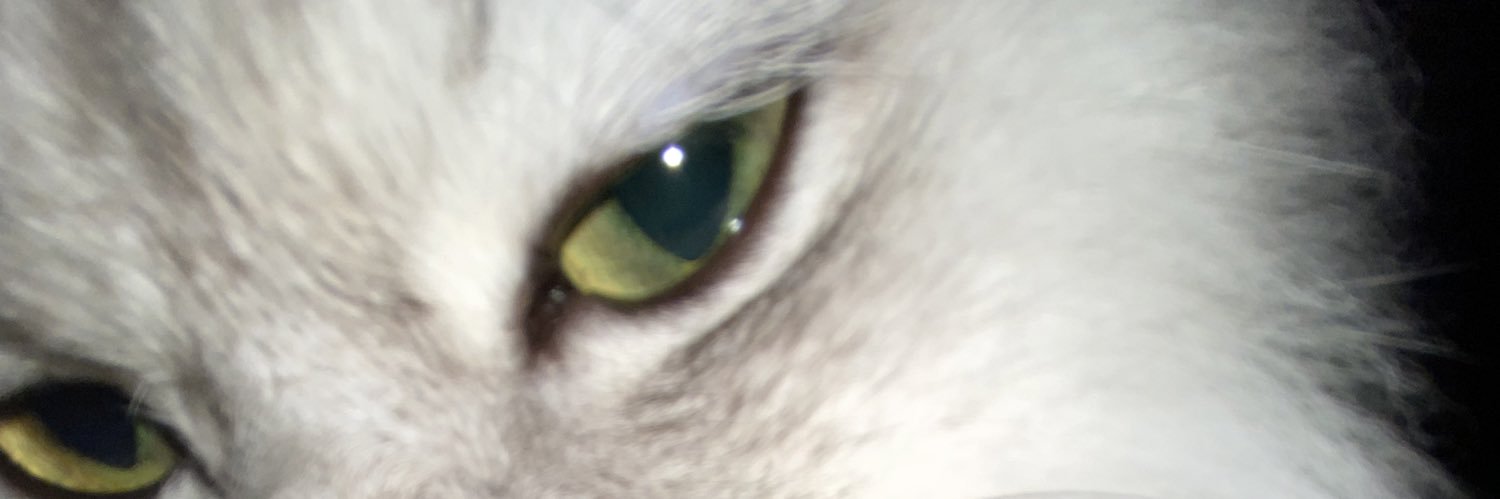 playedladybug's profile banner image