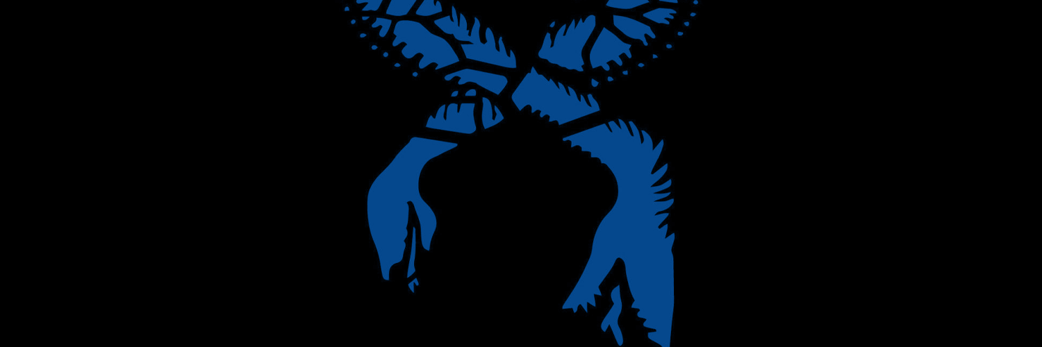barashsilvain's profile banner image