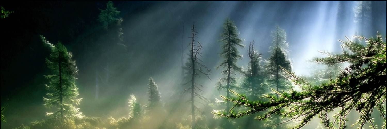 jmart267's profile banner image