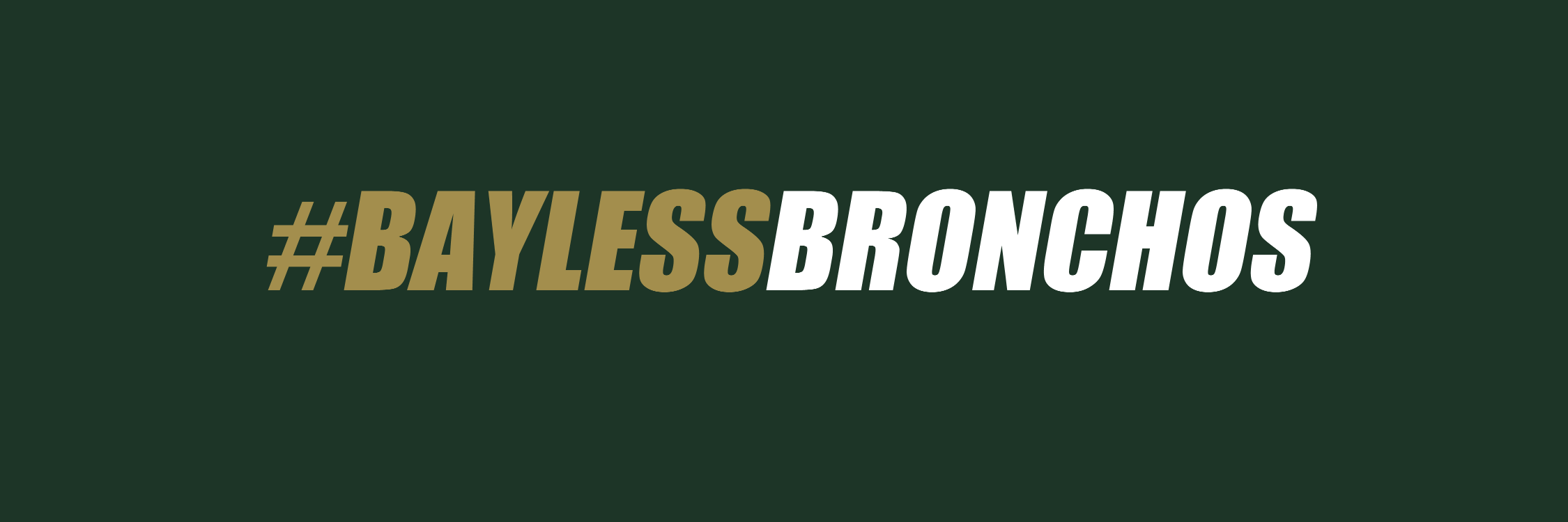 baylessbronchos's profile banner image