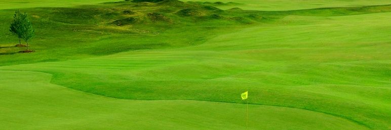 lederachgolf's profile banner image