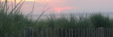 UrsulaGorham's profile banner image