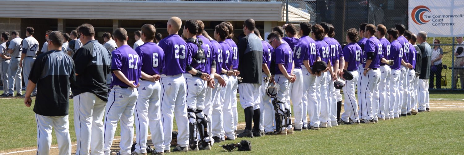 Curry Baseball banner