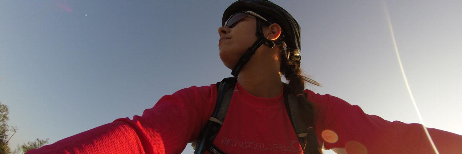 Erica Womeldorf banner