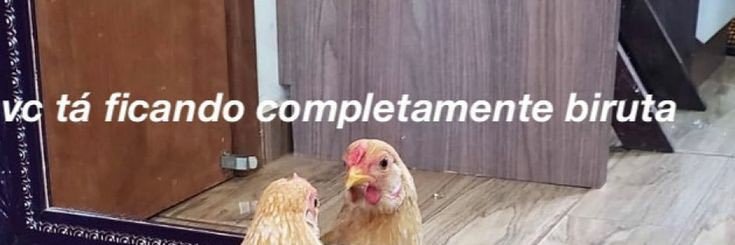 milenaguiarr's profile banner image