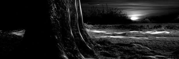 TokinDeals's profile banner image
