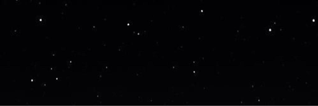 camila banner