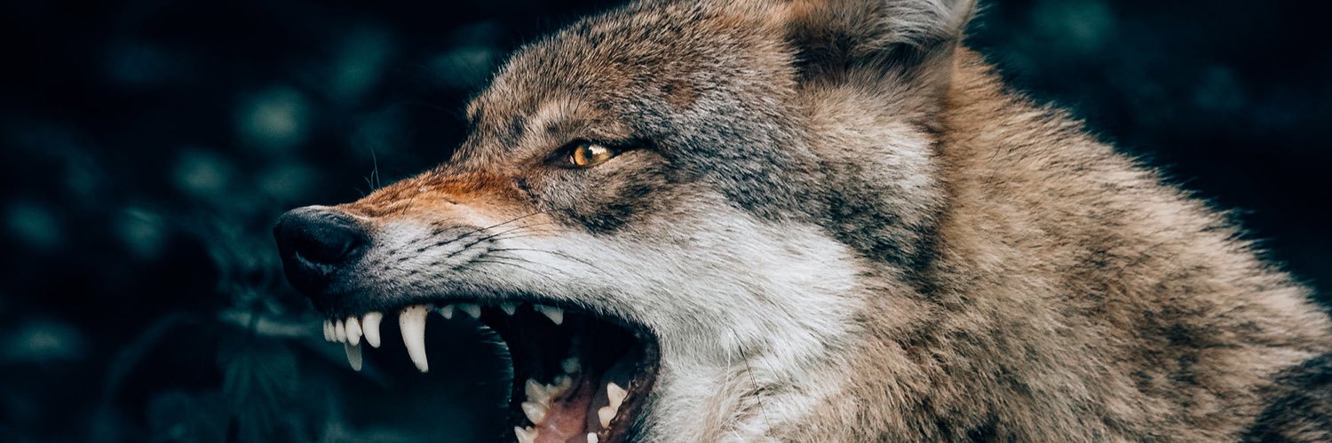 VLoneQ4's profile banner image