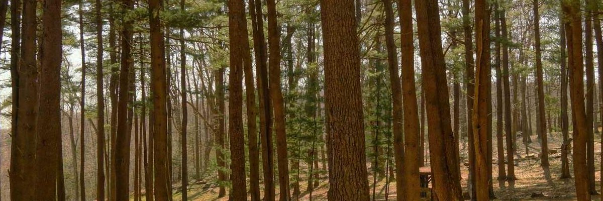 enderdjbad's profile banner image