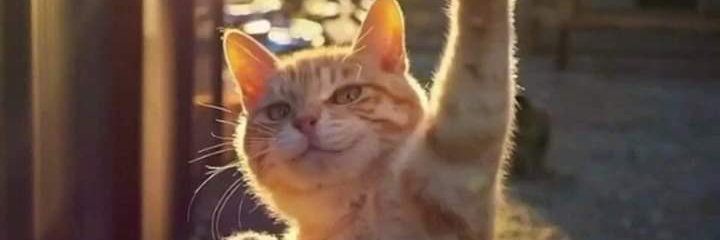 AnaHdezJa's profile banner image