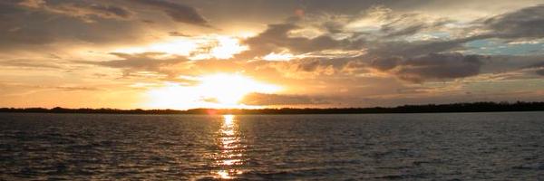 VGAG_2617 Profile Banner