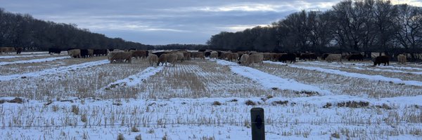 tmckenzie92 Profile Banner