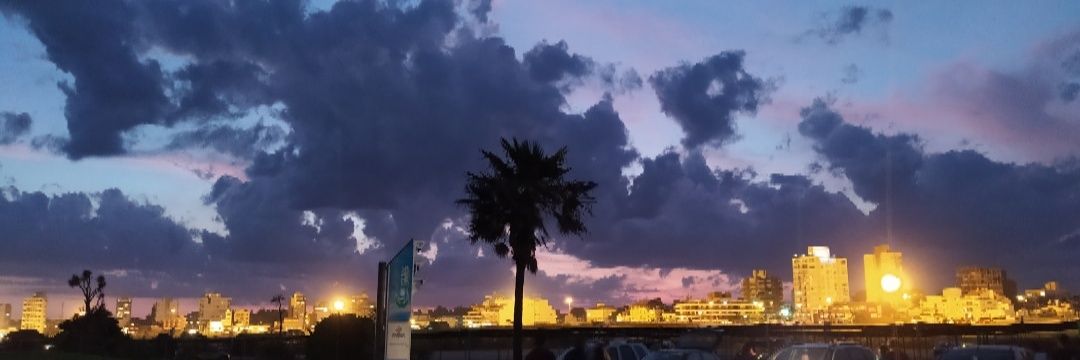 steffbordino's profile banner image