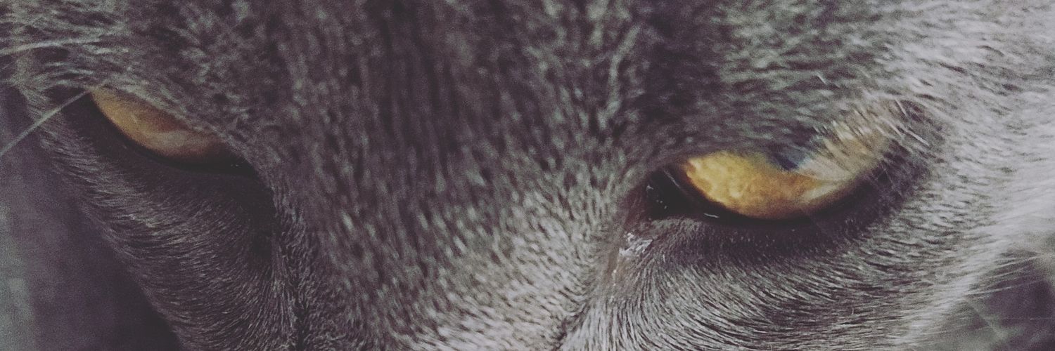 Solsmn's profile banner image