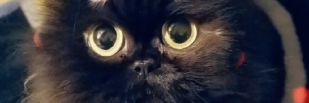 emmkwaz's profile banner image