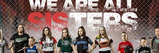 StayInSoftball's profile banner image