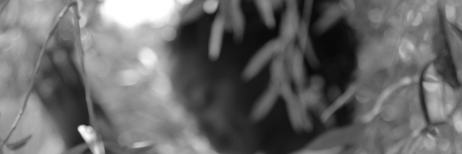 JoynerOfficiel's profile banner image
