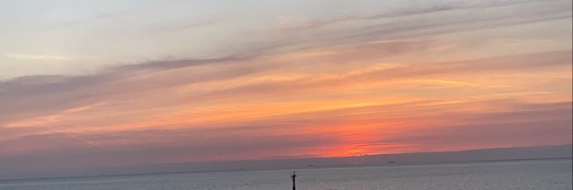 mollygray987's profile banner image