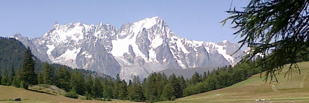 silviapersi1's profile banner image