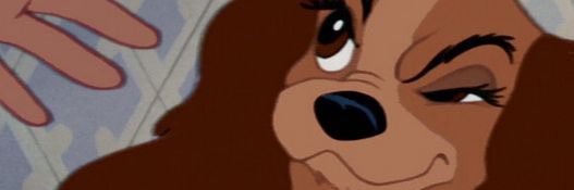 KaylaDawkins's profile banner image