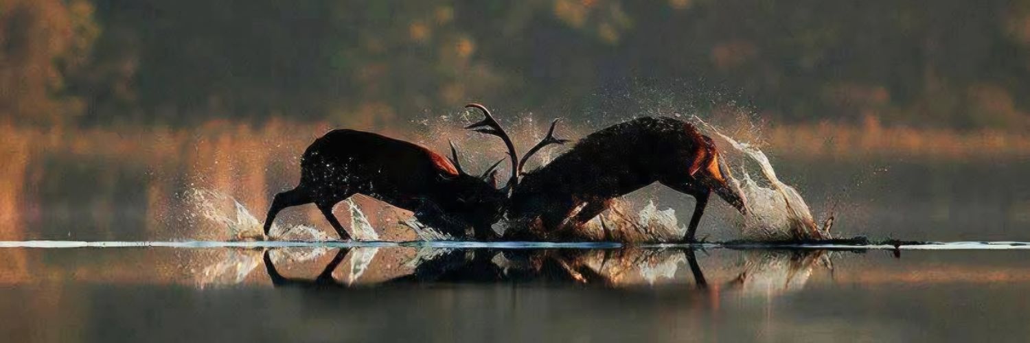 sebastjan78's profile banner image