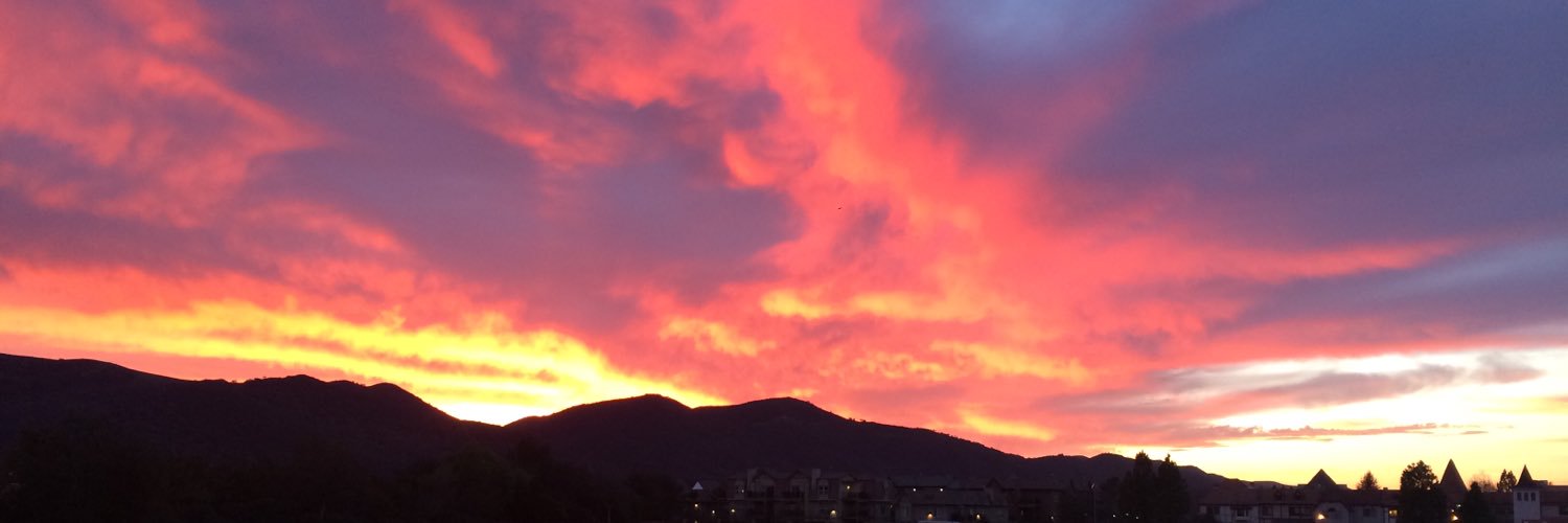 Gigi Gerritsen banner