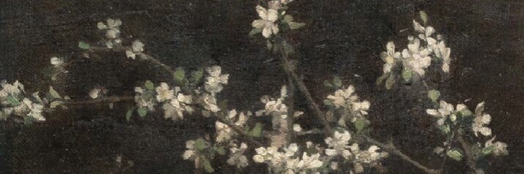EmptyChart's profile banner image