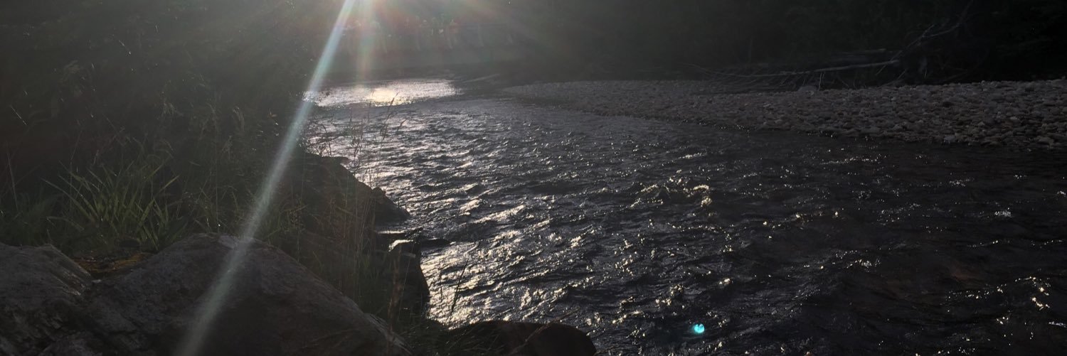 missdeeJDB's profile banner image
