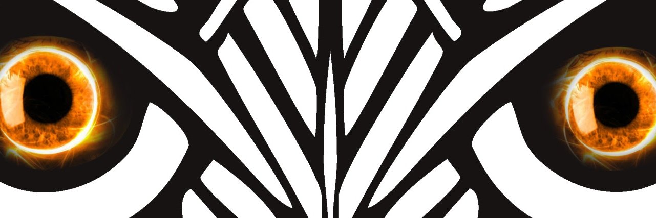Sowanderr's profile banner image