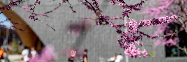TempleLibraries Profile Banner