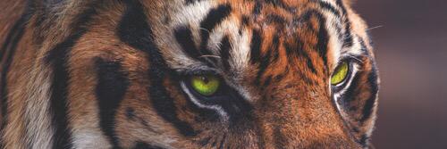 LilMel13's profile banner image