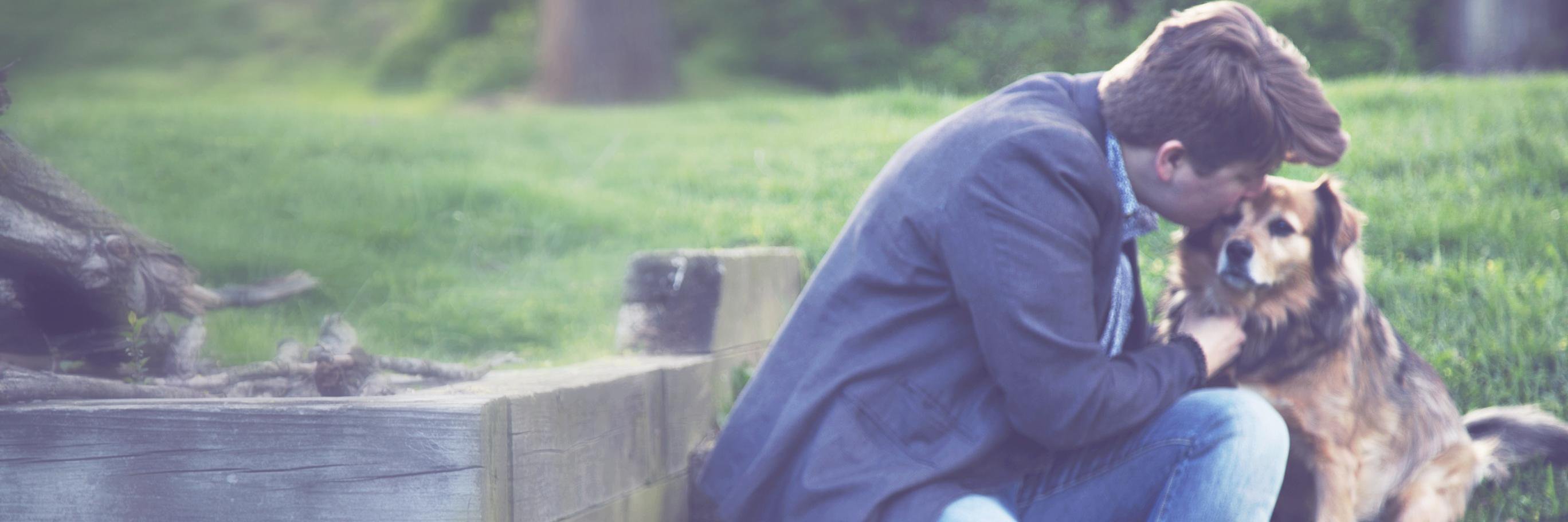 KSimmonsBarth's profile banner image