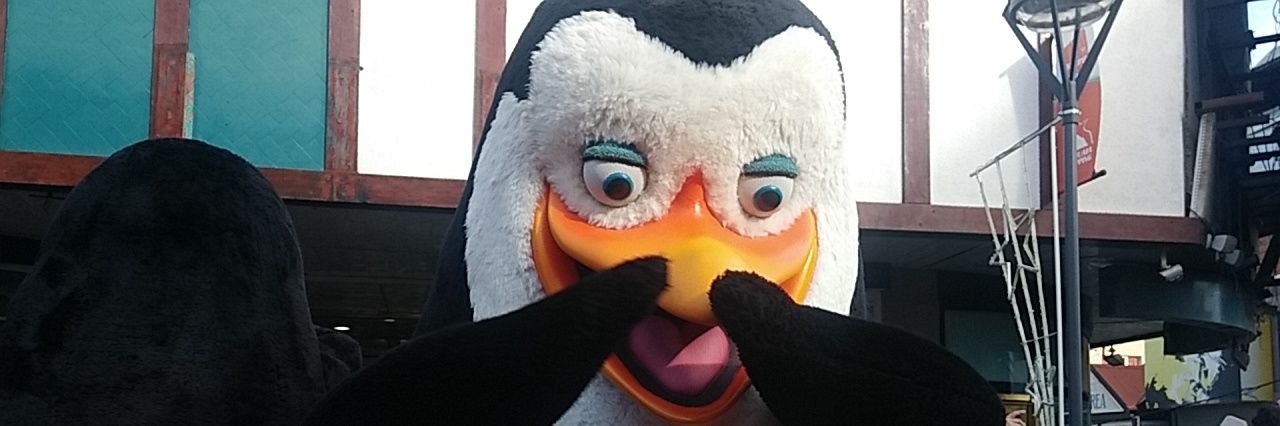 leogibarra's profile banner image
