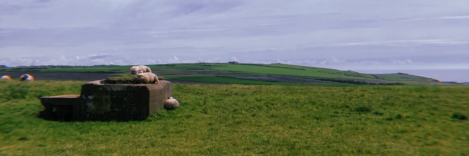 BluebraceBaby's profile banner image