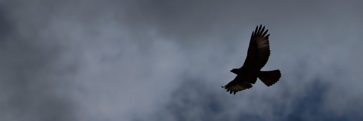 ZMooij's profile banner image