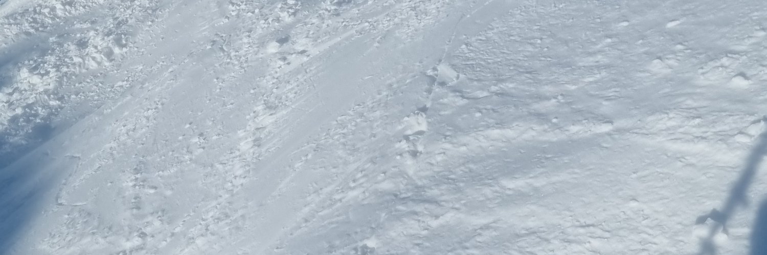 CronierF's profile banner image