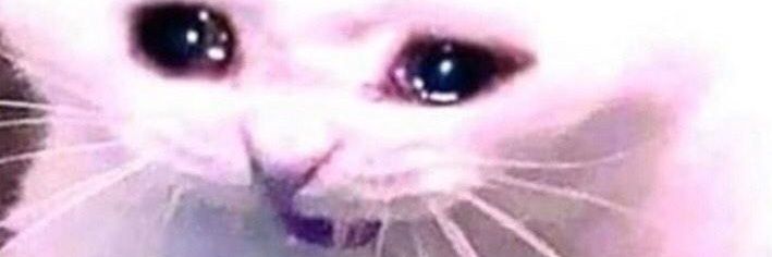 LeekaTraylor's profile banner image