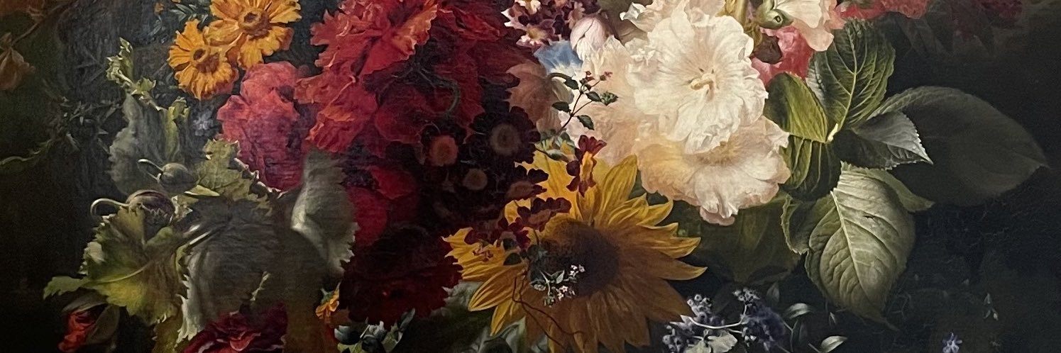 Alxsansdrap's profile banner image