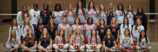 LadyElk_Vball Profile Banner